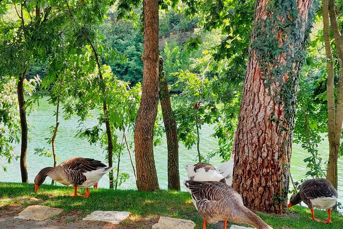 Vineyards, Albanian Wine Tasting & Boat Tour from Tirana/Durres - Included snacks and lunch: when it hits and when it falls short