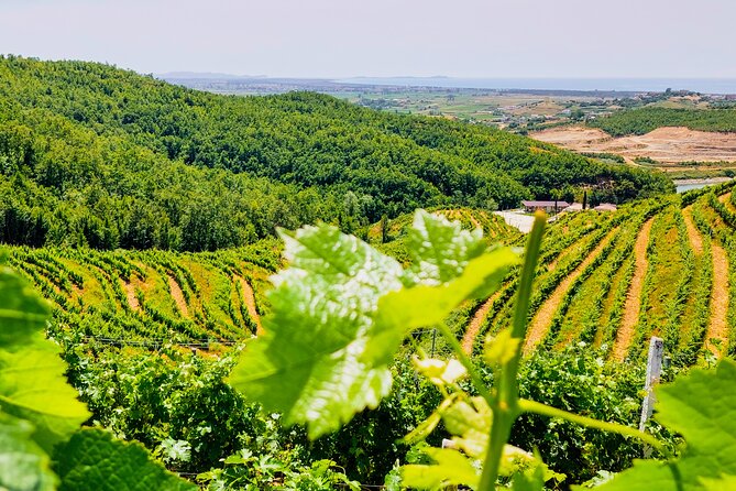 Vineyards, Albanian Wine Tasting & Boat Tour from Tirana/Durres - Getting to the vineyards: how long it really takes