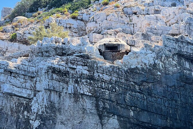 Vlore Speedboat Tour to Sazan Island & Haxhi Ali Cave - Meeting at Olympia Tours in Vlorë: The Practical Start