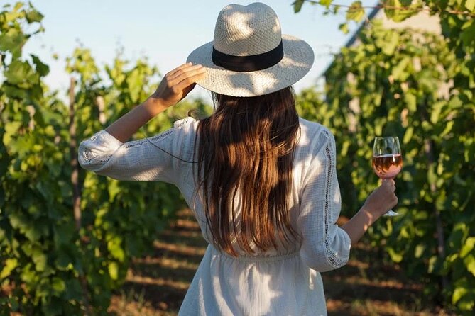 Wine Tasting & Vineyards Escape near Tirana - Key highlights worth your time