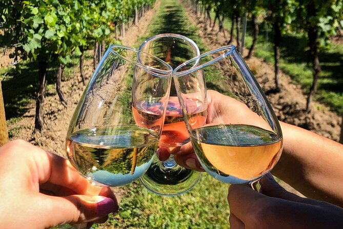 Wine Tasting & Vineyards Escape near Tirana - The tasting room: 3 Albanian wines with traditional snacks