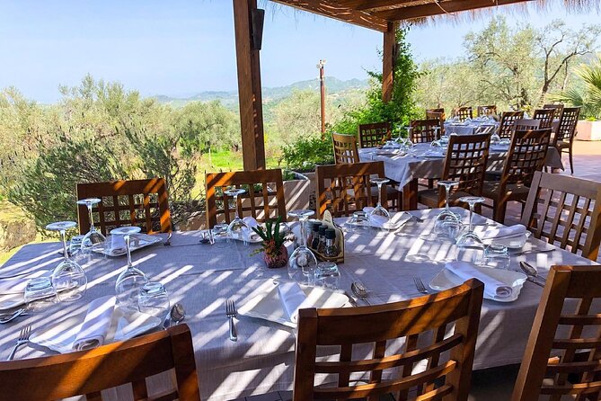Wine Tasting & Vineyards Escape near Tirana - After the tasting: views, a vineyard stroll, then back downhill to Tirana