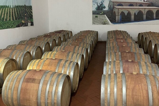 Wine Tasting & Vineyards Escape near Tirana - Price and logistics: does $118.58 feel fair?