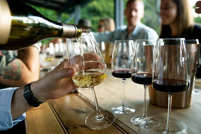 Wine Tasting & Vineyards Escape near Tirana - Who this tour suits best (and who should skip it)