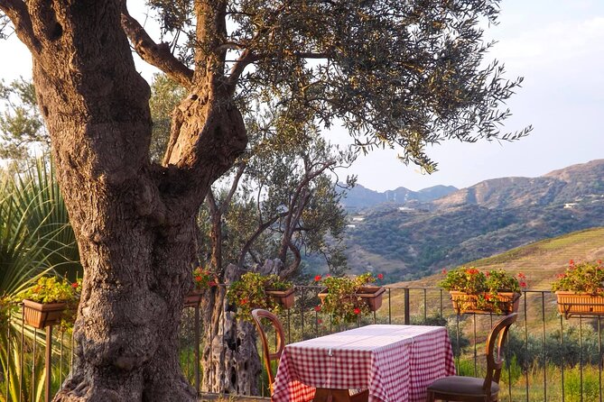 Wine Tasting & Vineyards Escape near Tirana - The little details that make it work in real life