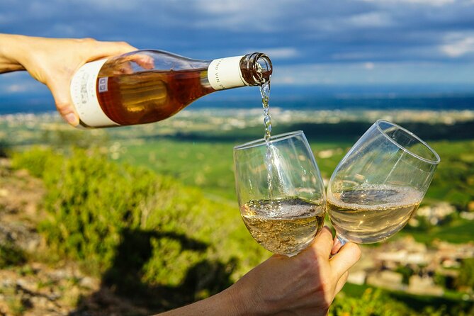Wine Tasting & Vineyards Escape near Tirana - Winery host welcome, vineyard walk, and native grapes