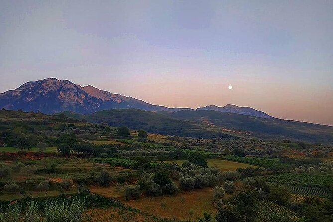 Winetasting tour in Alpeta winery - Roshnik village by 1001 Albanian Adventures - Alpeta Agrotourism & Winery: tasting, rakija, and a vineyard visit