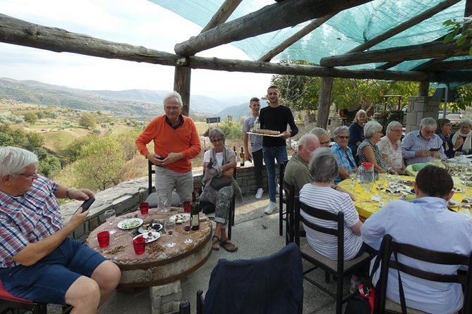 Winetasting tour in Alpeta winery - Roshnik village by 1001 Albanian Adventures - Price and what you actually get for $71